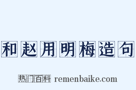 和赵用明梅造句是什么意思的图片